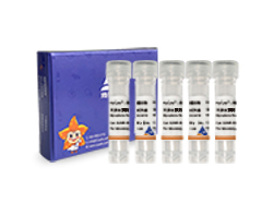 HyCyte?支必清支原体清除试剂盒